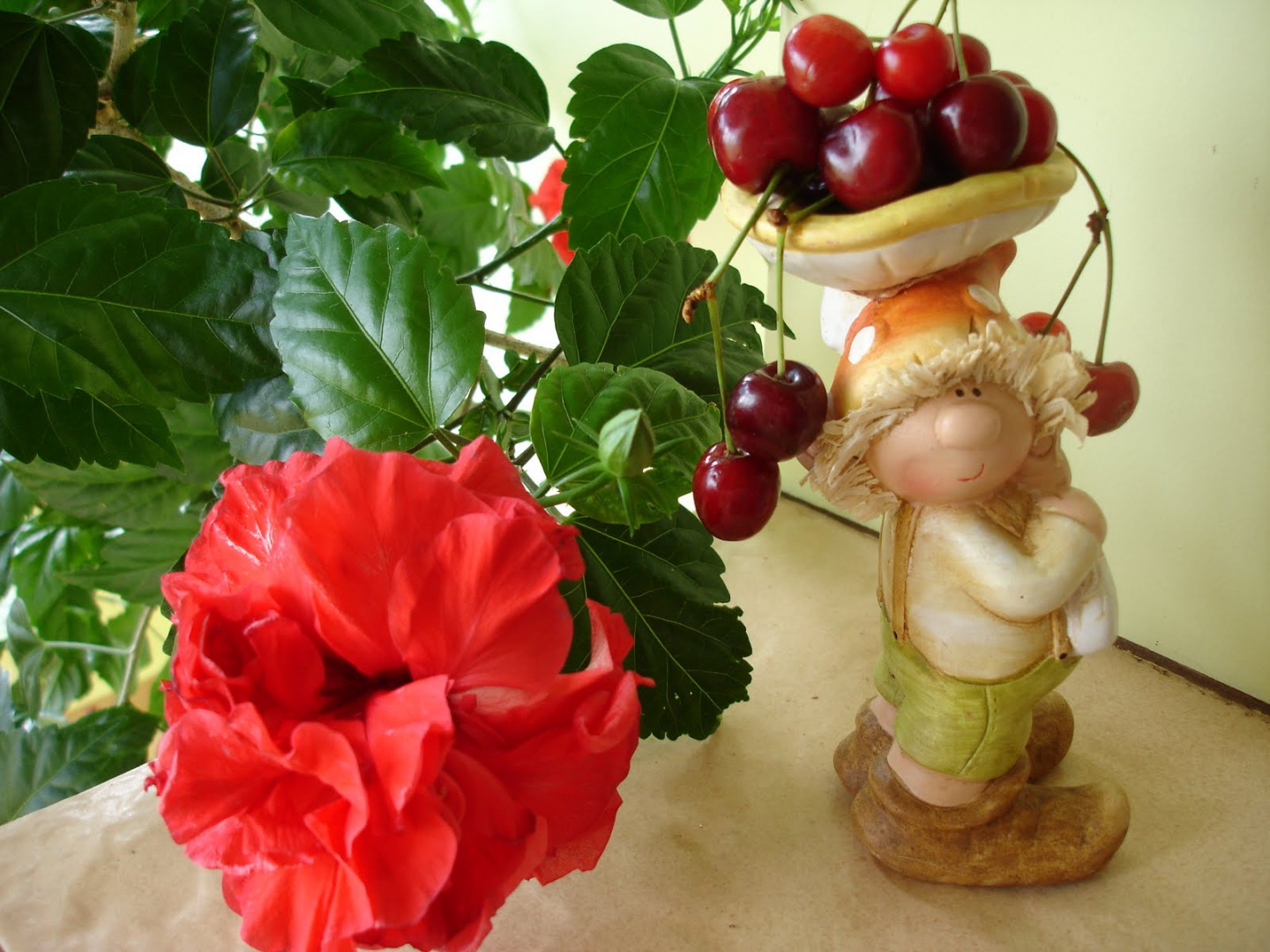 Tort alb cu visine si ciocolata