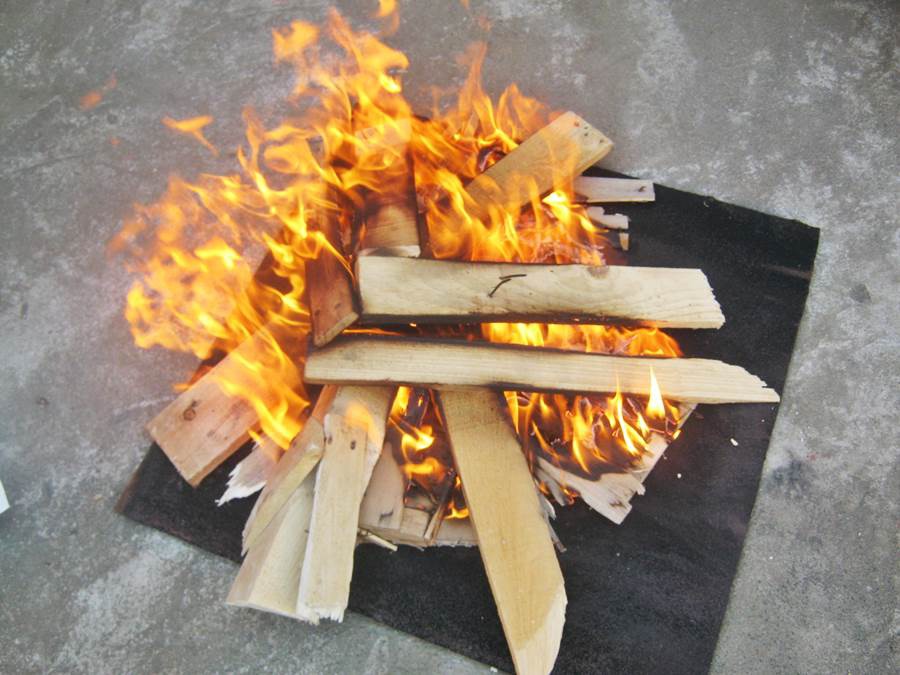 Clisa (slanina) fripta si pita picurata