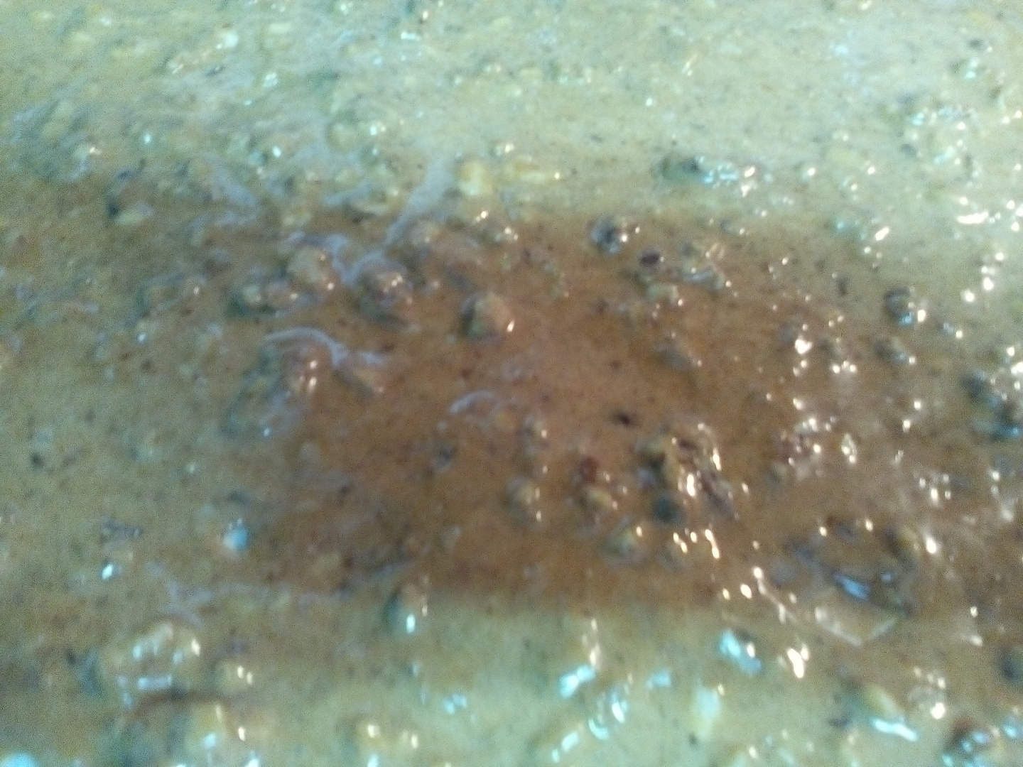 Napolitanele copilariei  (nuca, caramel si glazura de ciocolata)