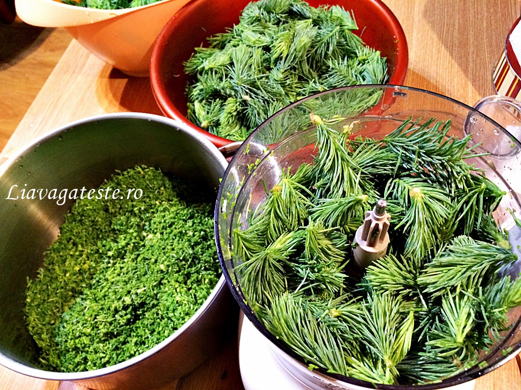 Sirop din muguri de brad, maruntiti