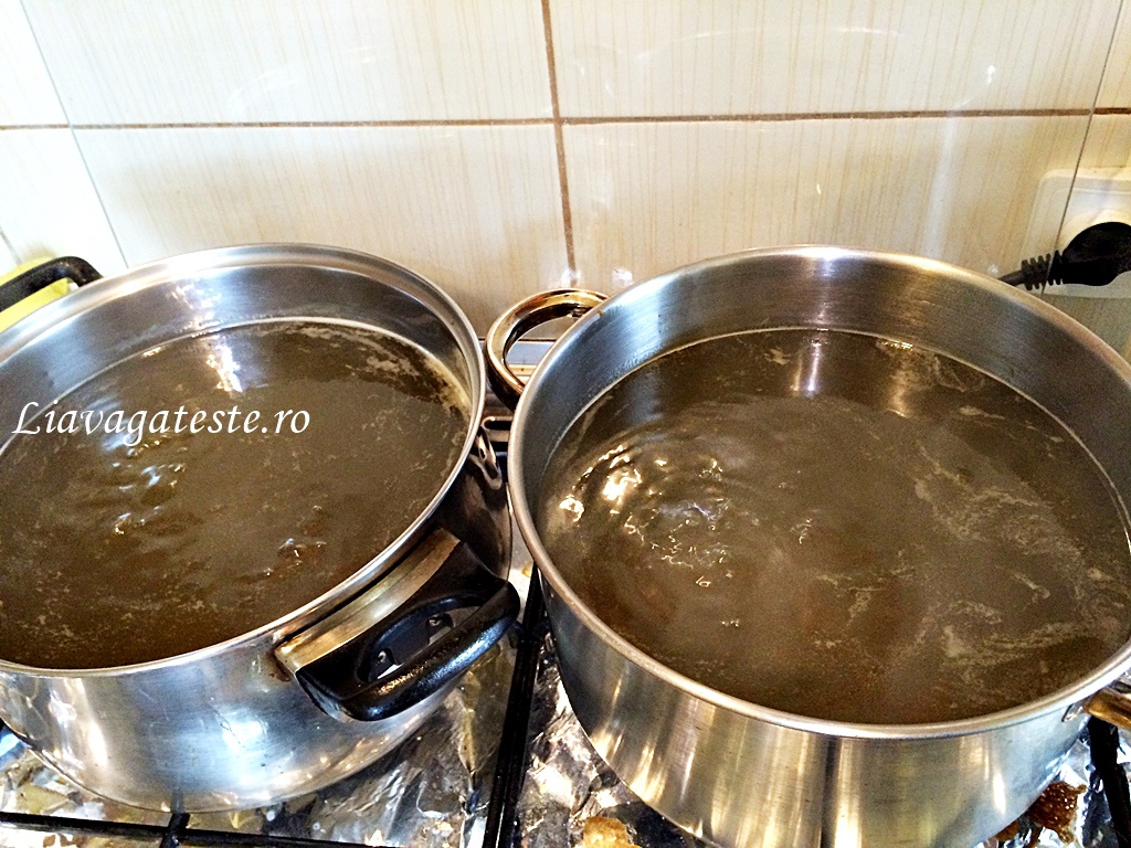 Sirop din muguri de brad, maruntiti