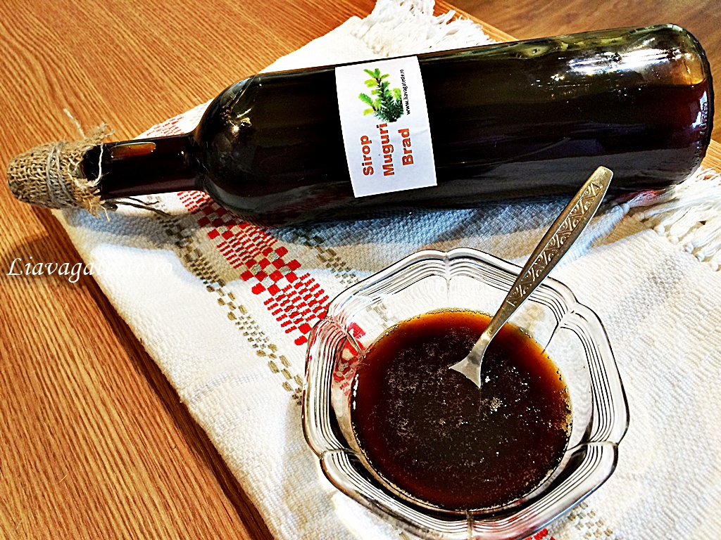 Sirop din muguri de brad, maruntiti