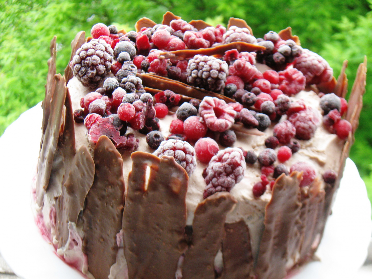 Tort cu fructe de padure si crema de ciocolata