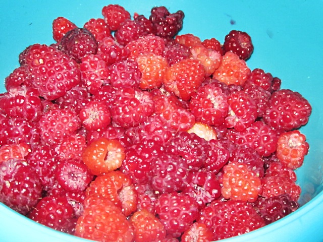 Tiramisu cu piure de zmeura