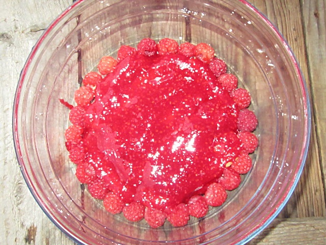 Tiramisu cu piure de zmeura