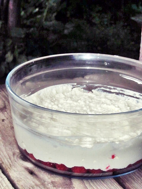 Tiramisu cu piure de zmeura