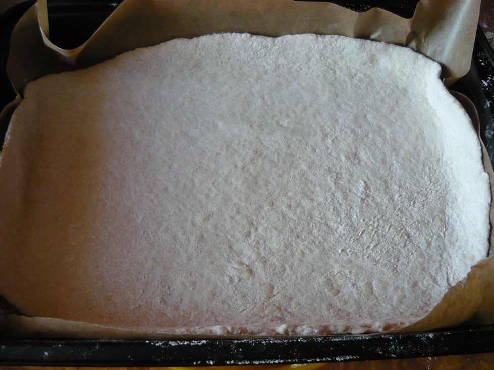 Pizza cu ardei gras si rosii