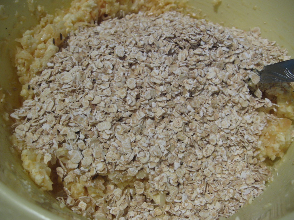 Aperitiv cu fulgi de ovaz, salam si cascaval afumat Delaco