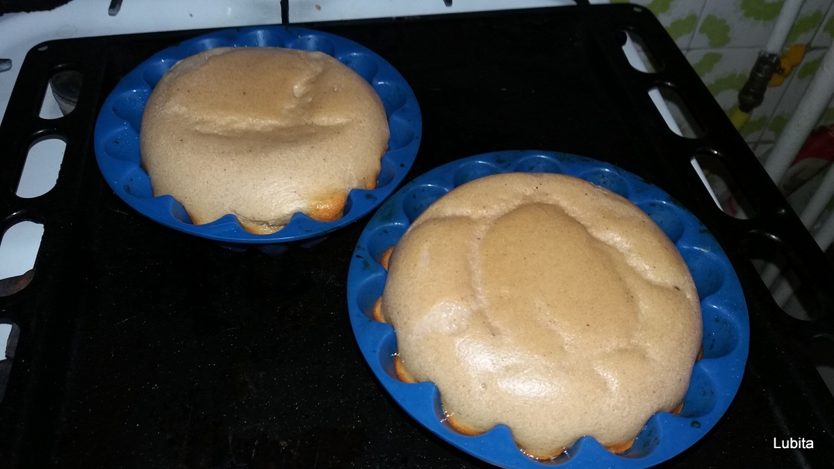 Galatopita reinventata