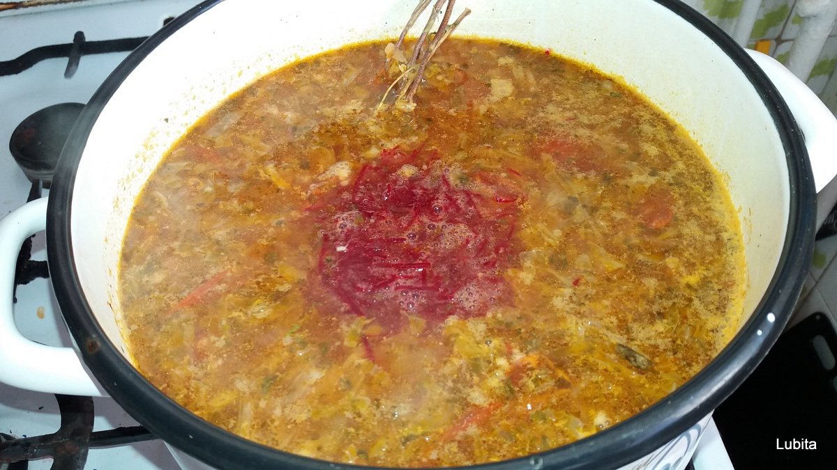 Bors de sfecla rosie