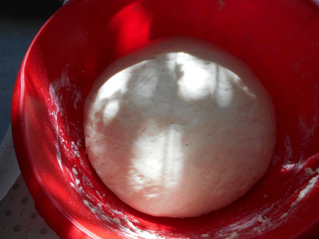 Mosocoarna - Placinta cu prune