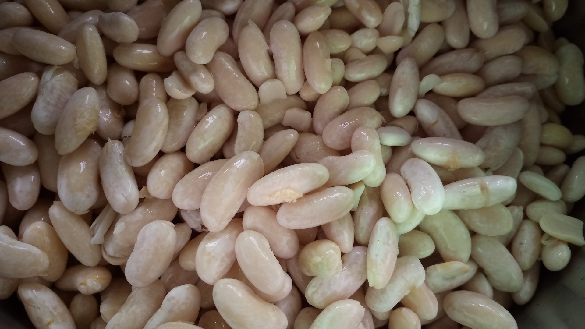 Bors moldovenesc cu fasole, ca la mama acasa (de post)