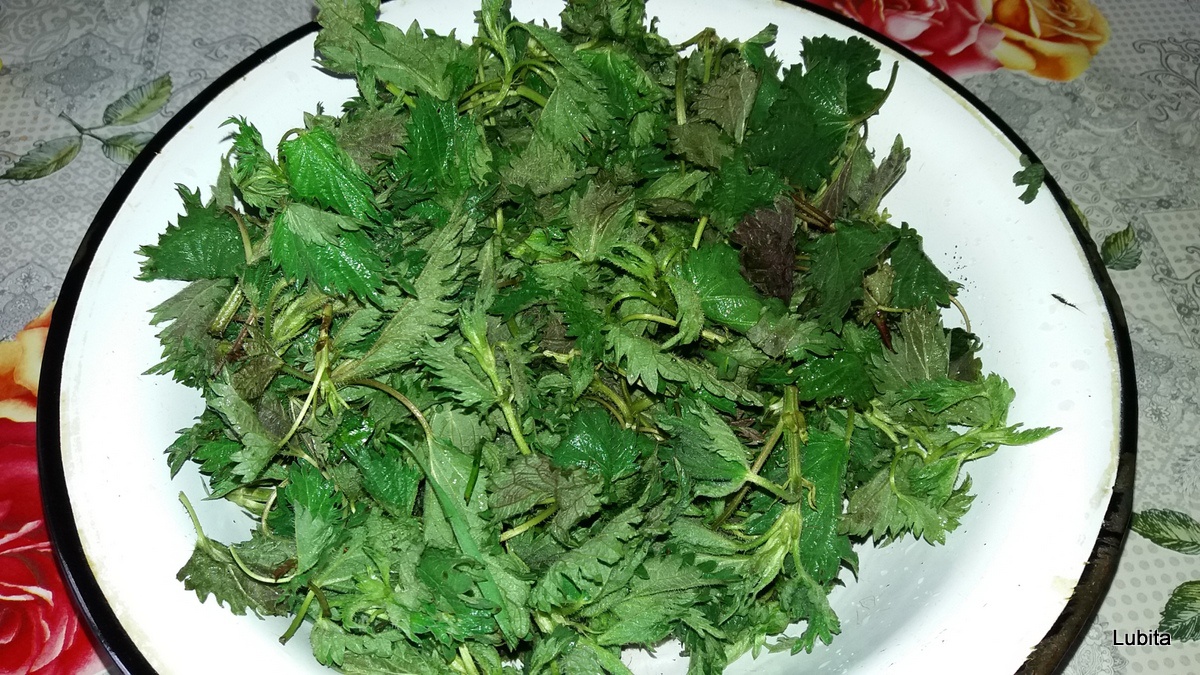 Supa crema de urzici