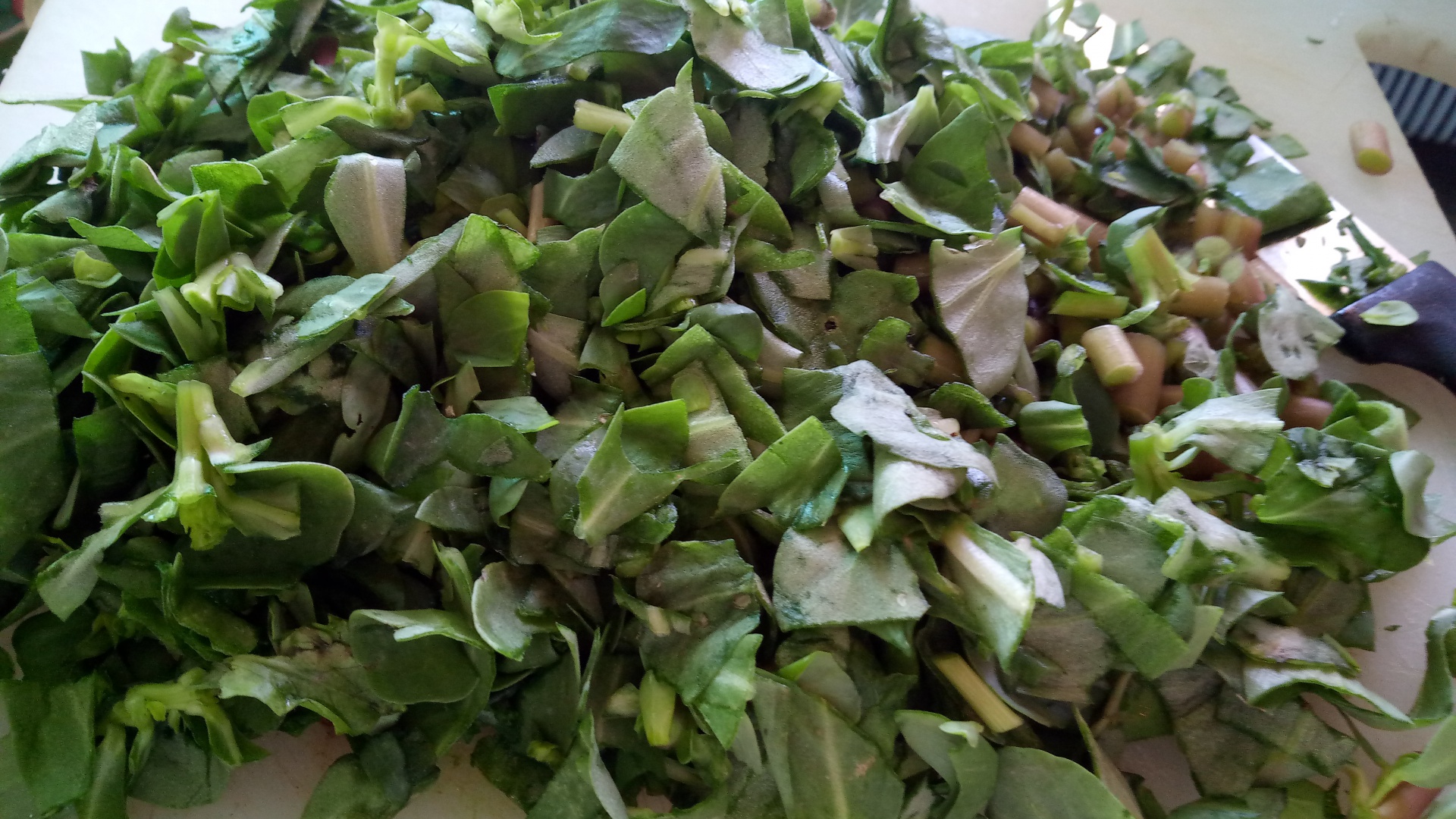 Tocanita de iarba grasa (baqleh)