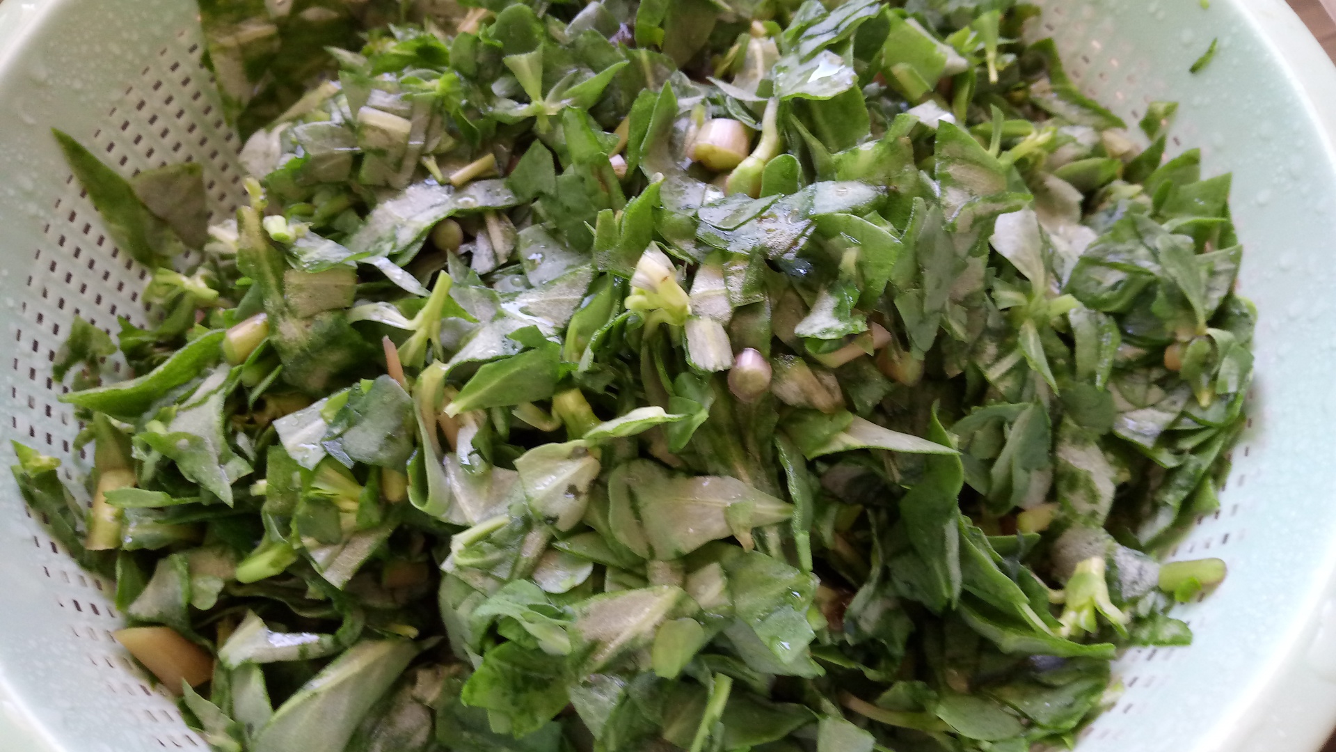 Tocanita de iarba grasa (baqleh)