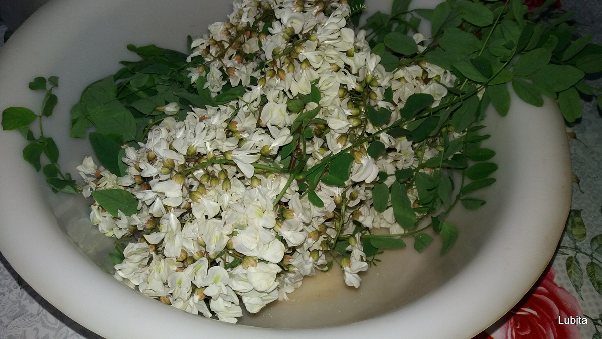 Clatite cu flori de salcam