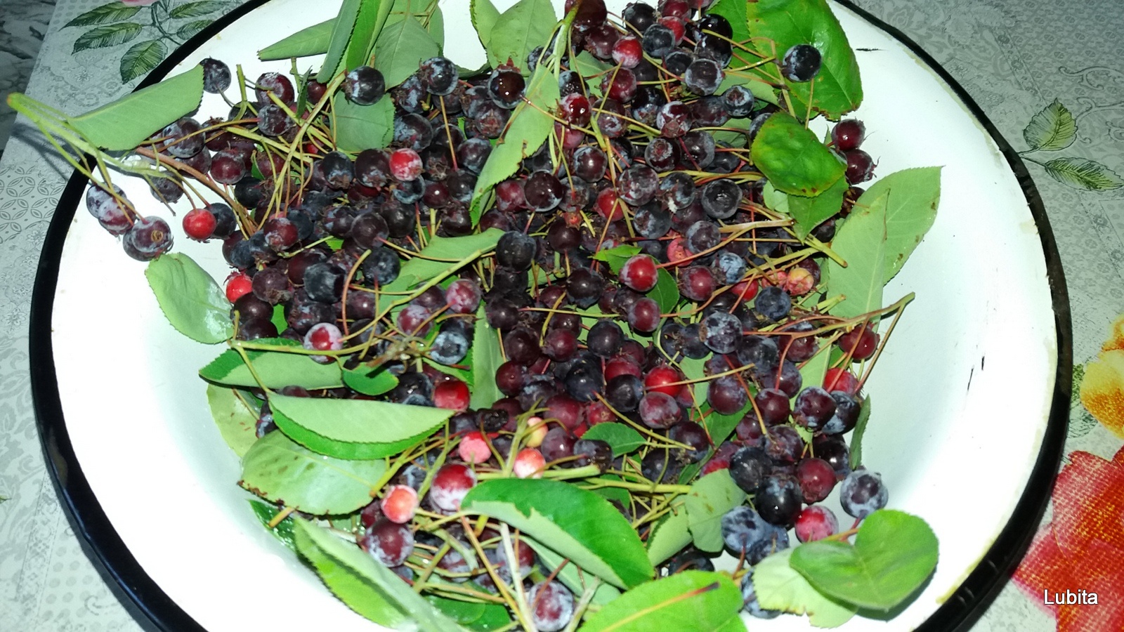 Inghetata de merisoare