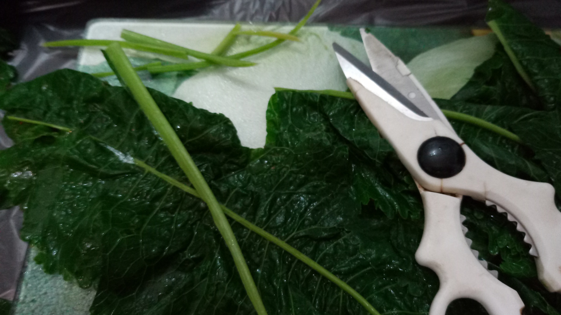 Sarmalute in foi de hrean