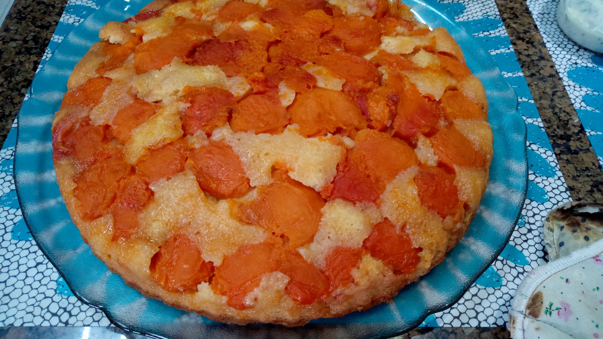 Tarta cu caise din blat de pandispan