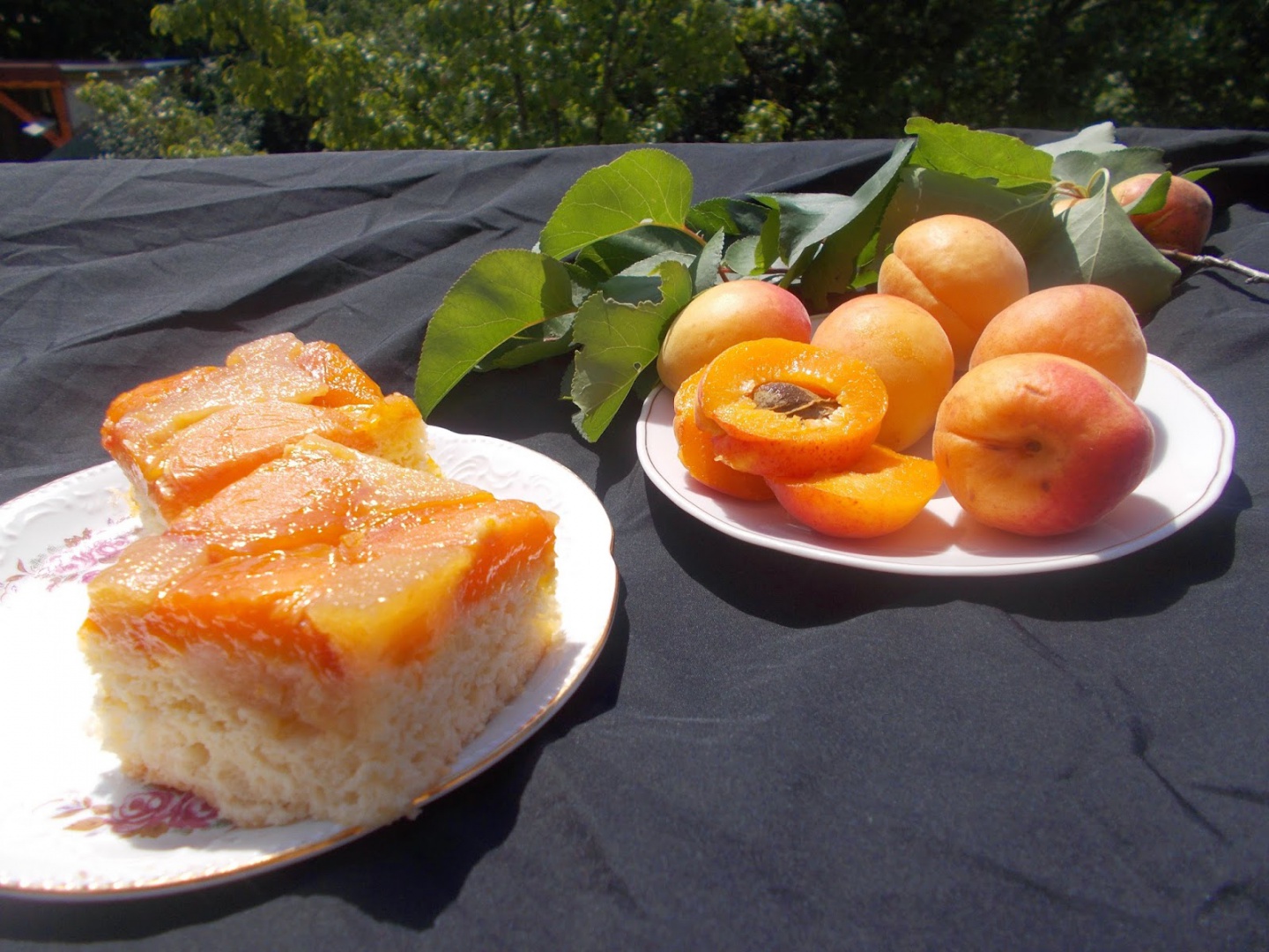 Prajitura cu caise caramelizate