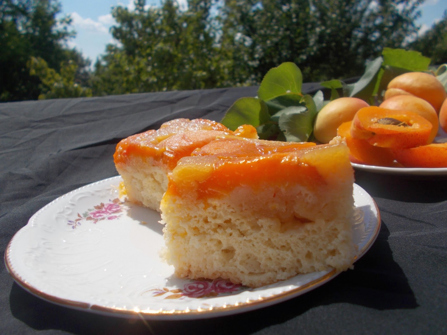 Prajitura cu caise caramelizate