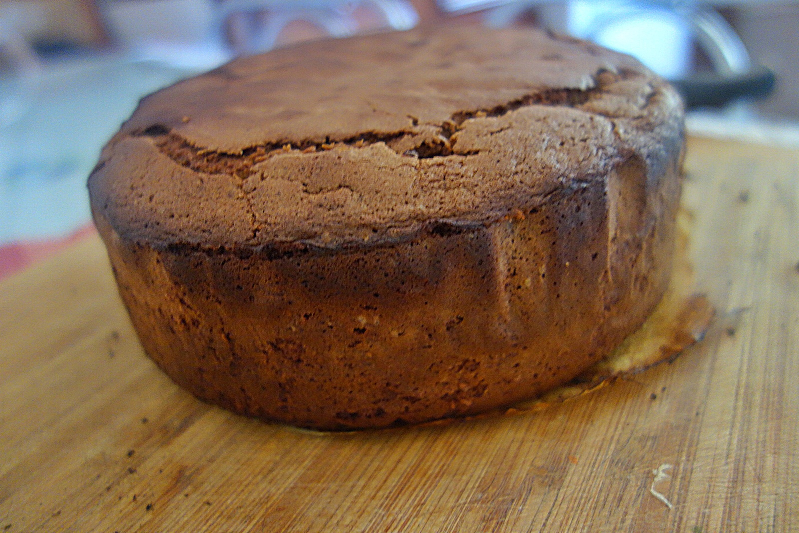 Tort cu ciocolata si caise