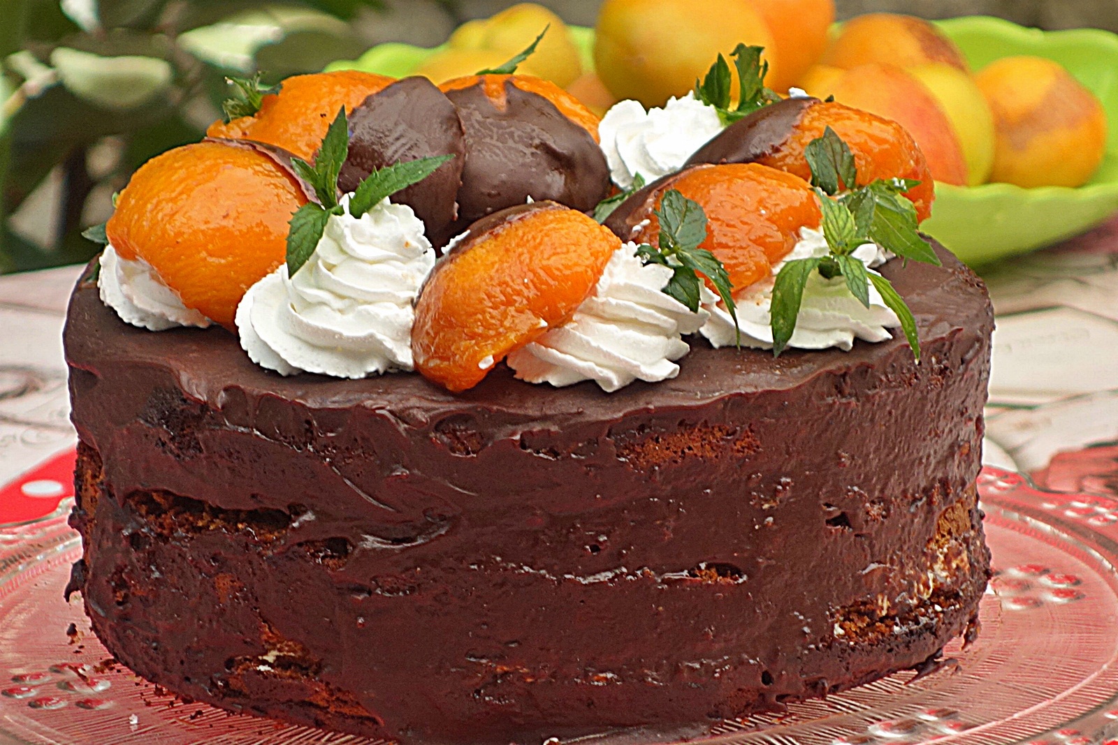 Tort cu ciocolata si caise