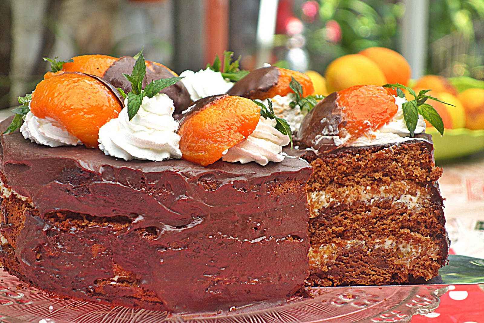 Tort cu ciocolata si caise