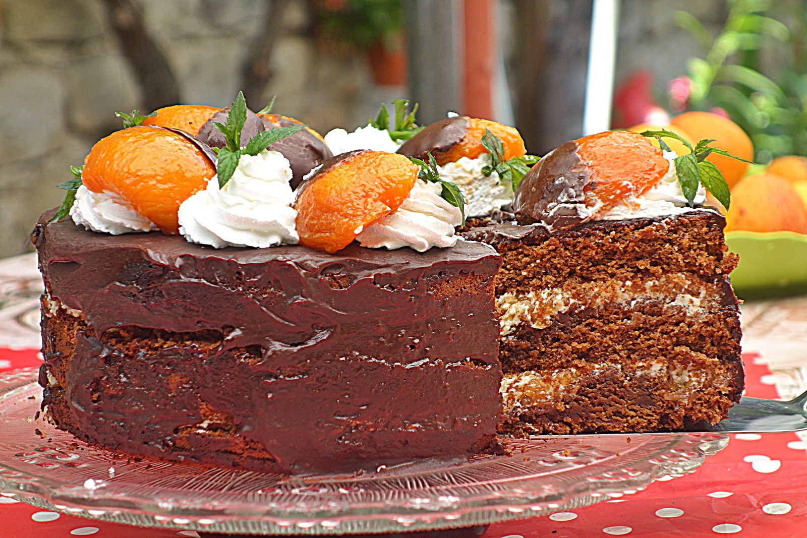 Tort cu ciocolata si caise