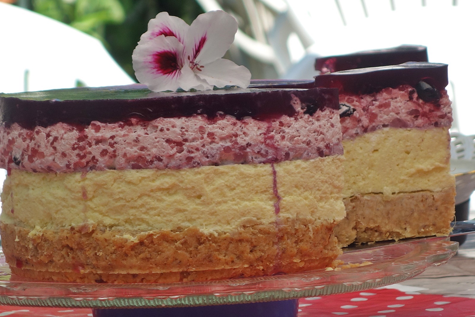 Cheesecake cu piure de ananas, perle de tapioca si dulceata de coacaze