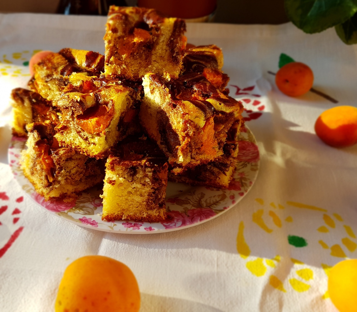 Prajitura marmorata cu caise