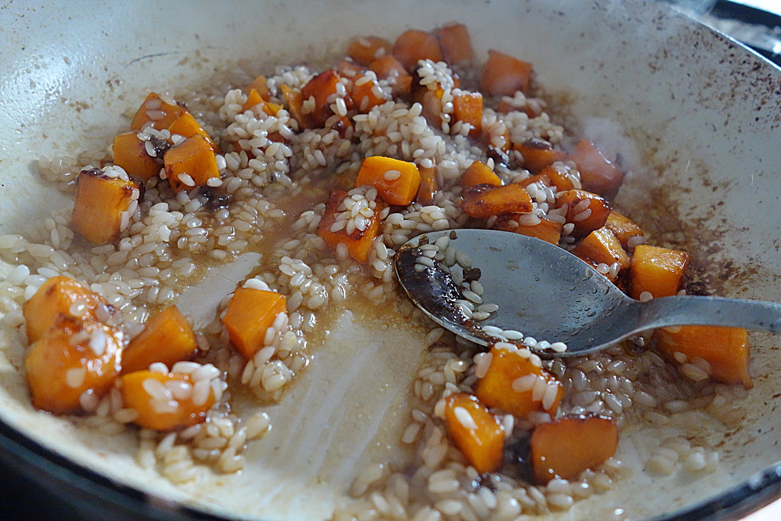 Mancarica de dovleac placintar