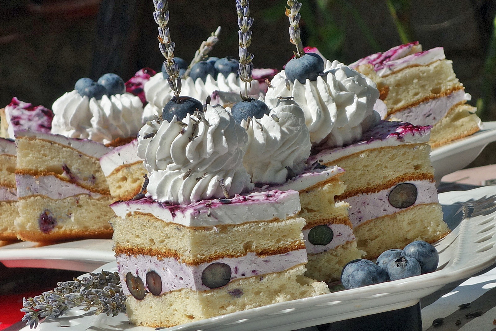 Prajitura cu afine si lavanda