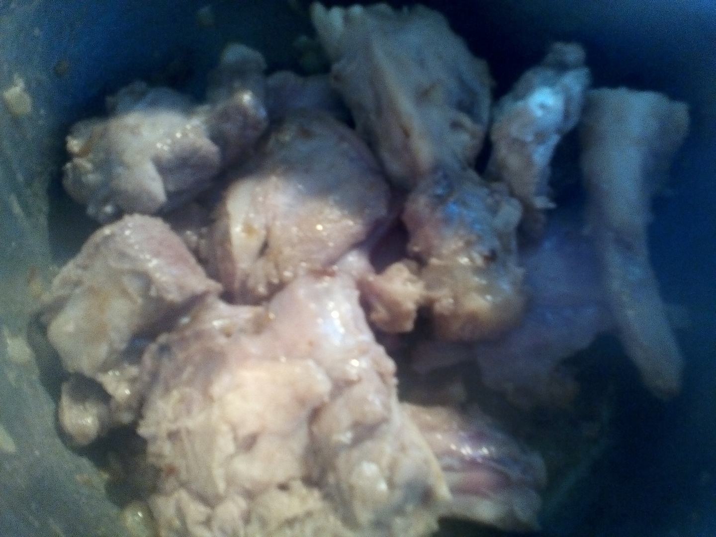 Conopida cu carne de miel in sos de iaurt