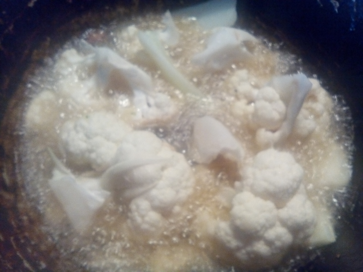 Conopida cu carne de miel in sos de iaurt