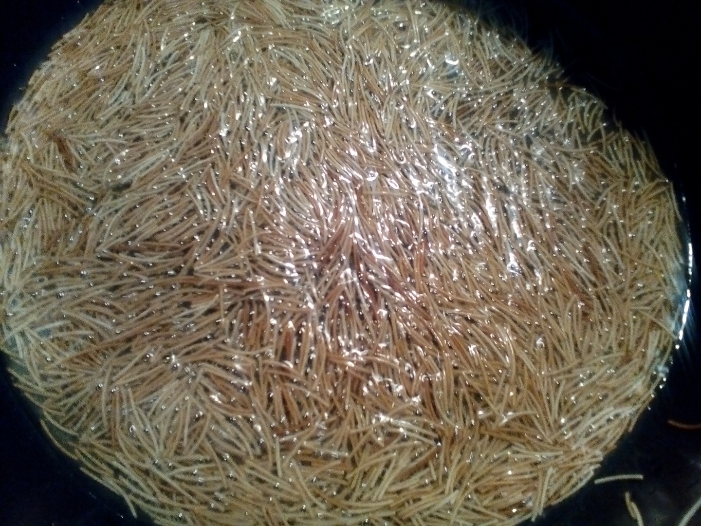 Conopida cu carne de miel in sos de iaurt