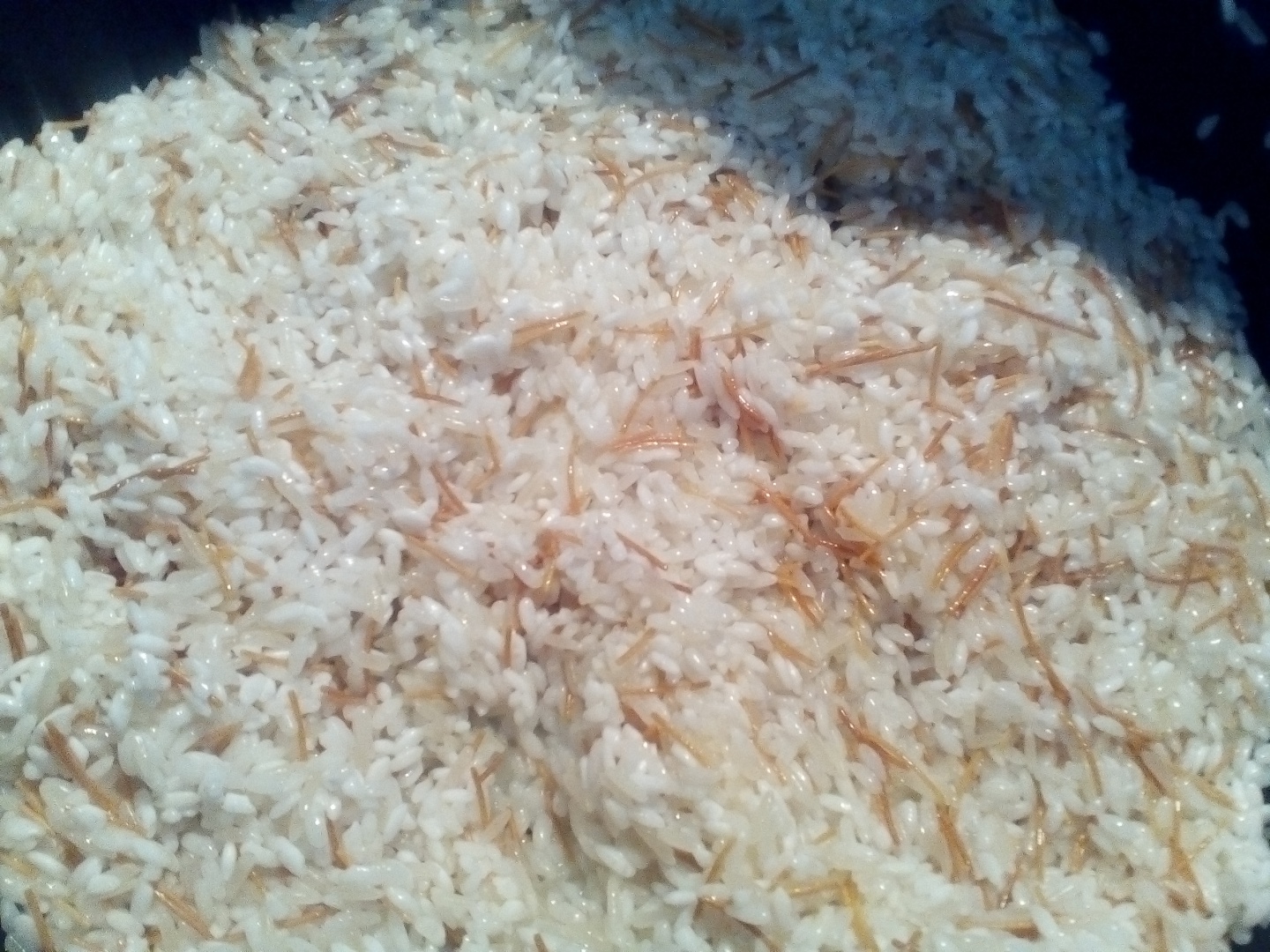 Conopida cu carne de miel in sos de iaurt