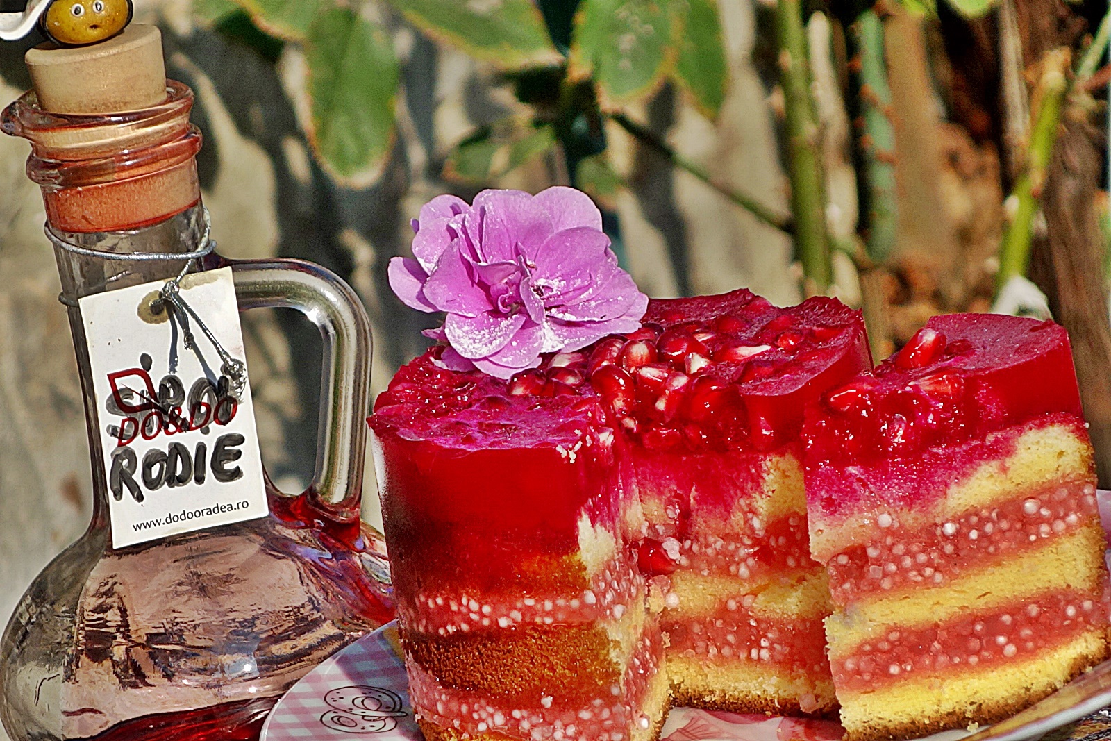 Prajitura cu perle de tapioca fierte in sirop de rodie