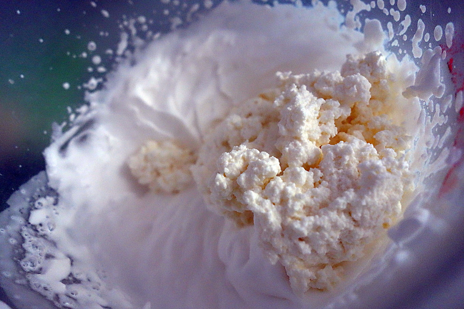 Prajitura cu piscoturi si mure