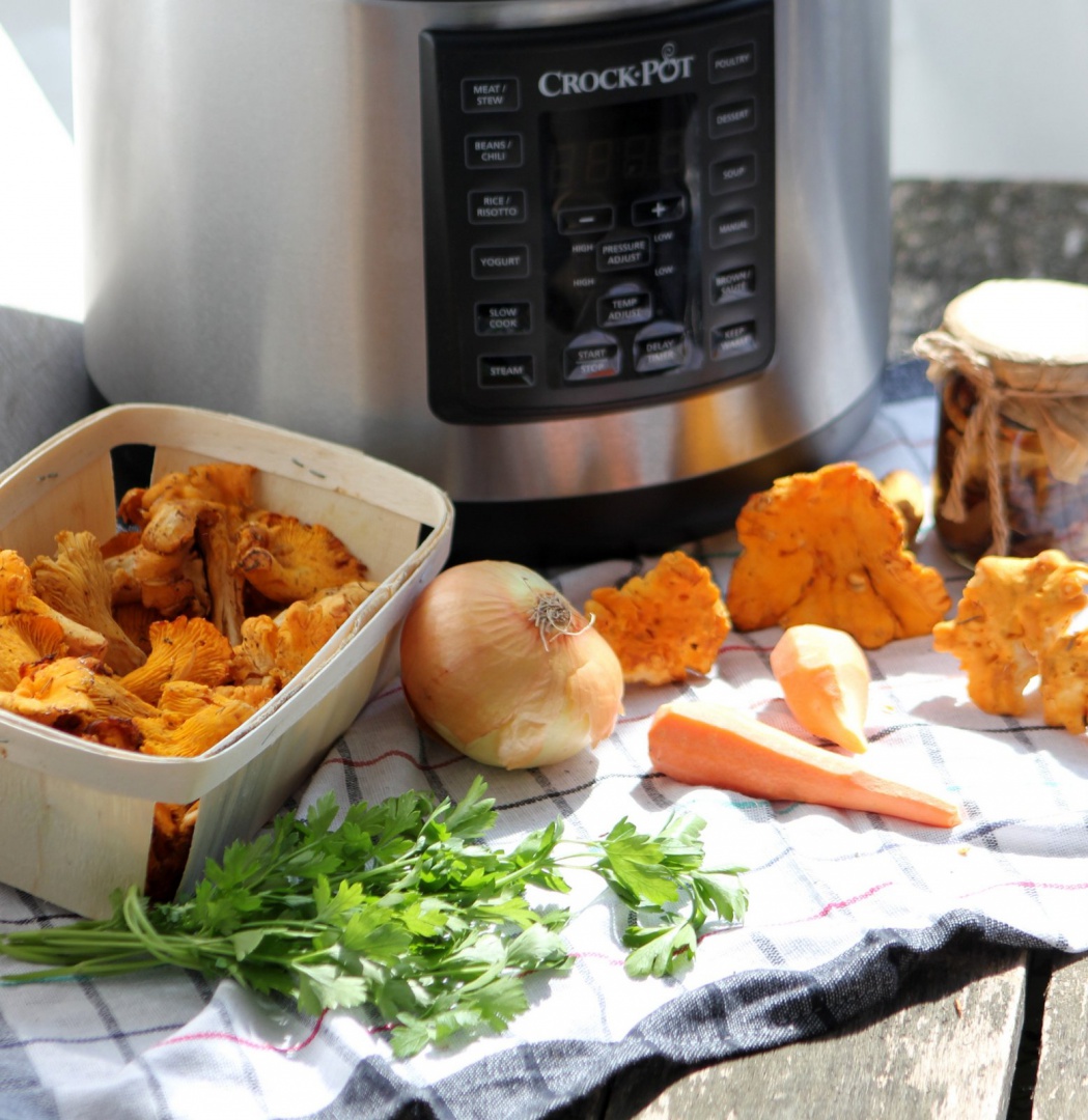 Tocanita de galbiori la Multicooker Crock-Pot Express