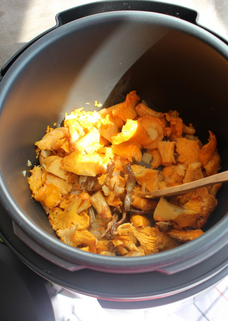 Tocanita de galbiori la Multicooker Crock-Pot Express