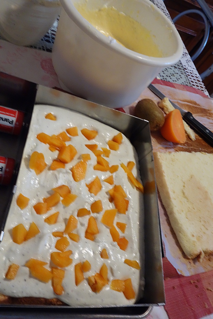 Prajitura racoroasa cu kaki si kiwi