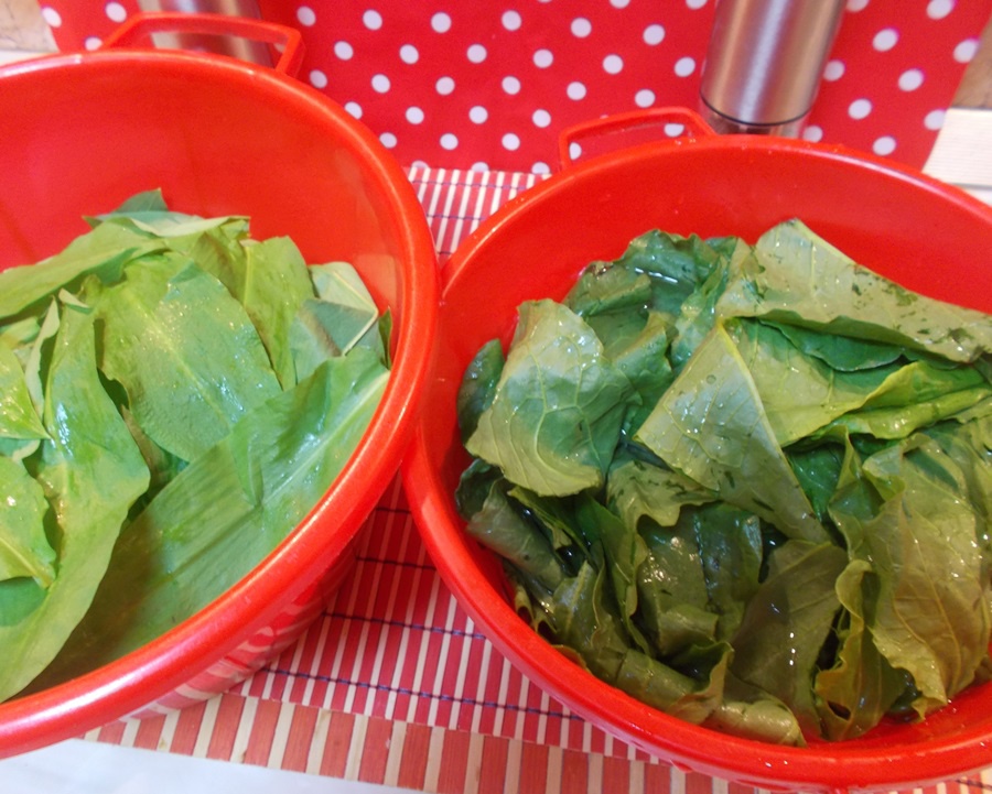 Pulpite de pui cu mancarica de stevie si leurda