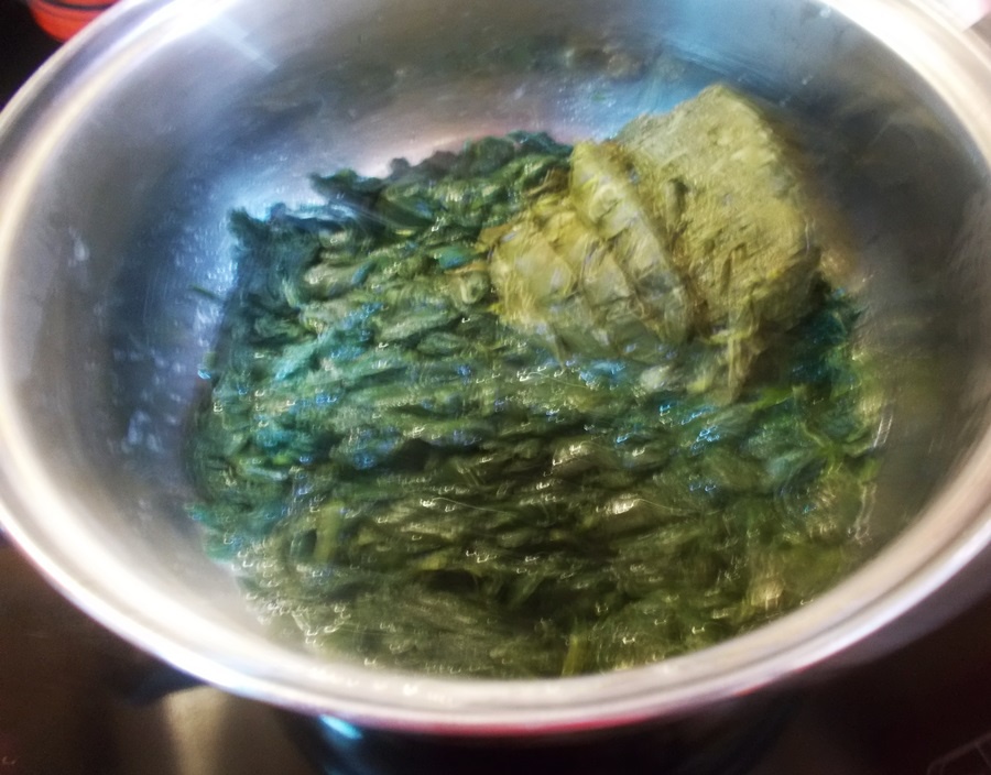 Pulpite de pui cu mancarica de stevie si leurda