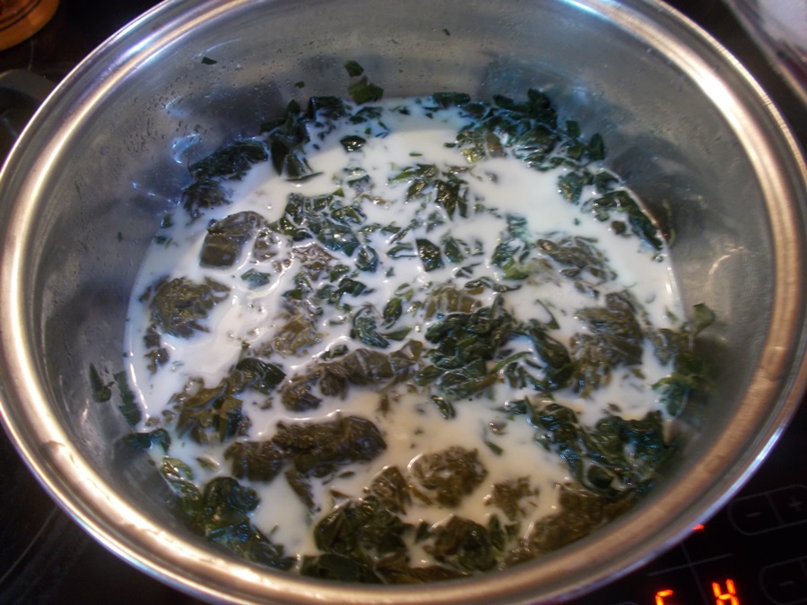 Pulpite de pui cu mancarica de stevie si leurda