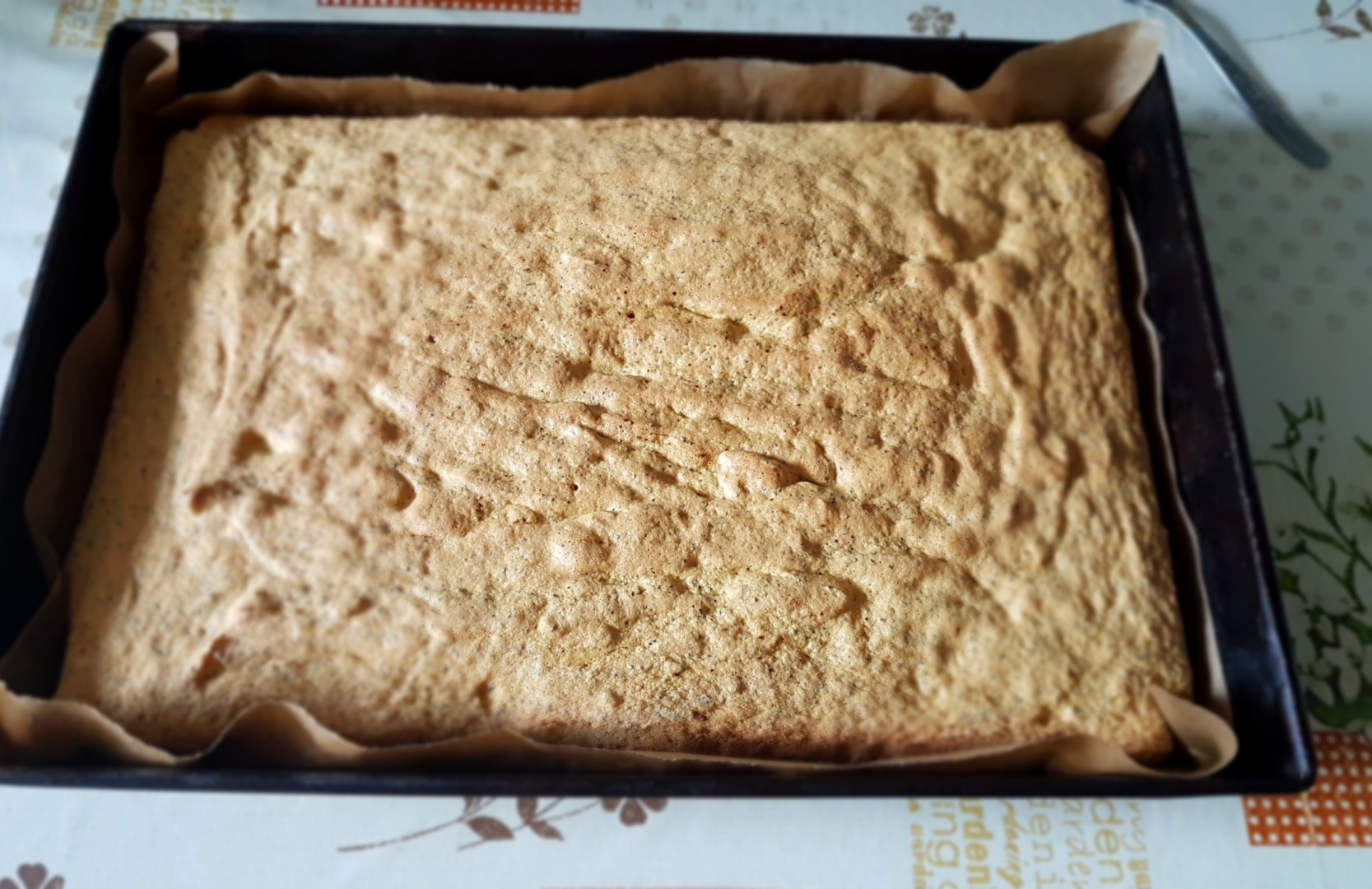 Prajitura Fantezie cu visine