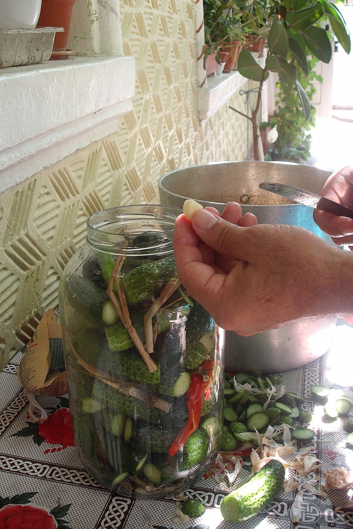 Castraveti bulgaresti