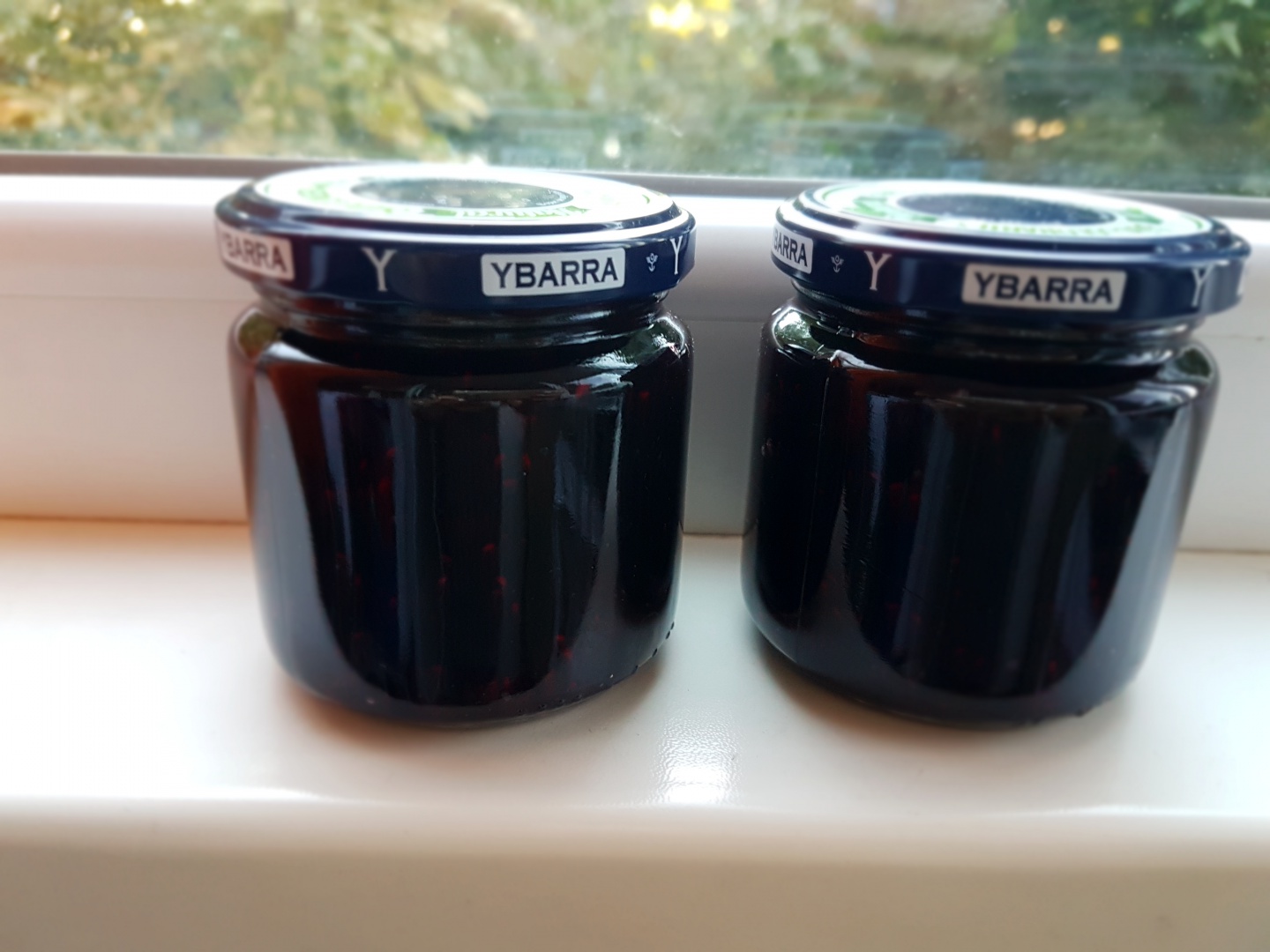 Dulceata de fructe de padure