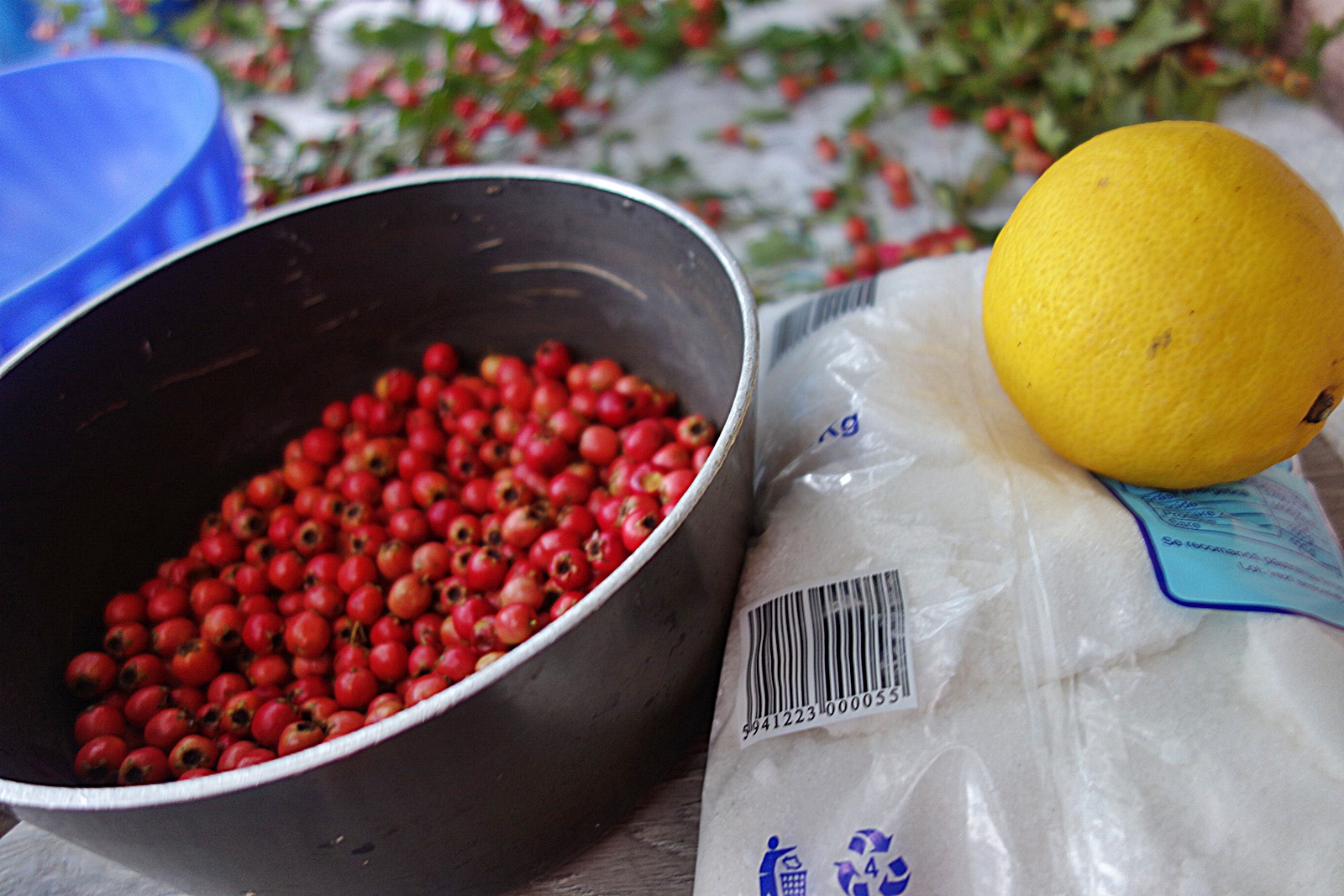 Dulceata de paducel (gherghine)