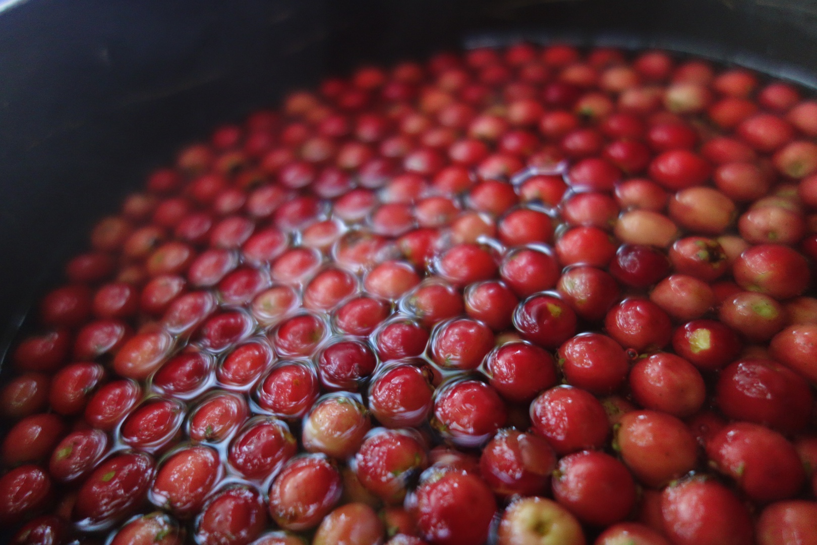Dulceata de paducel (gherghine)